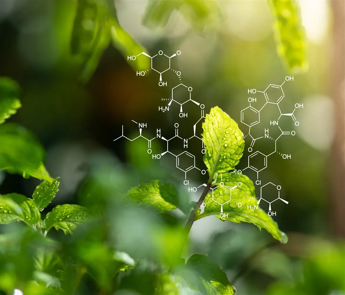 extraction au CO2 supercritique